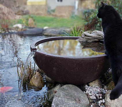 water feature maintenance