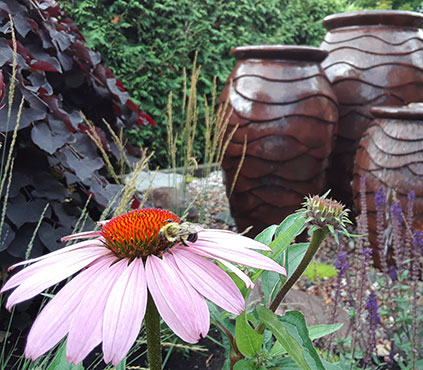 Water Feature and Pond maintenance and repair