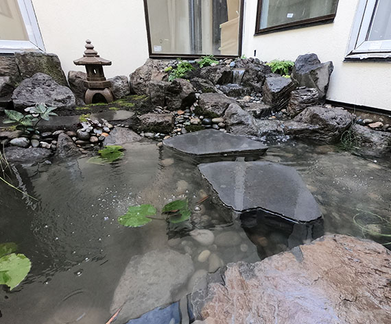 After Water Feature Pond