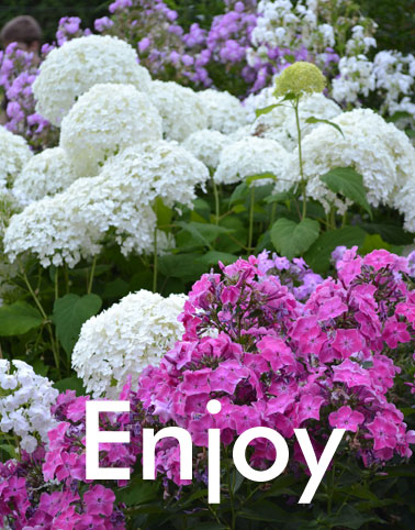 Water Feature and Pond Installation