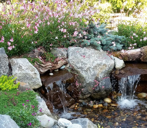 Maple Ridge landscaping services