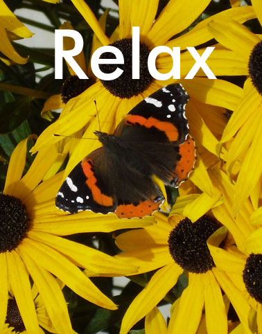 Abbotsford landscaping services